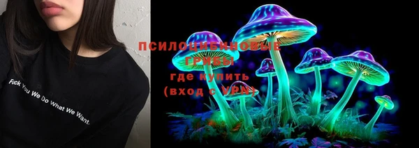 амф Надым