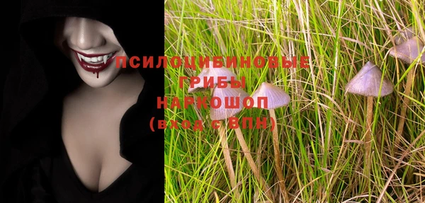 прущие грибы Наволоки