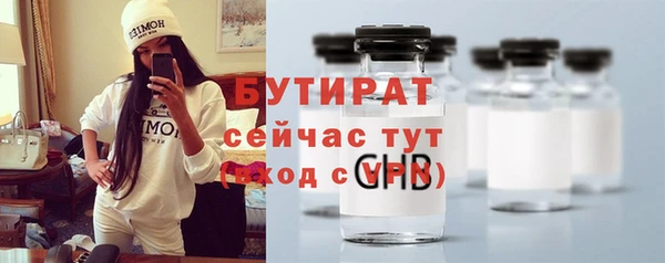 прущие грибы Наволоки