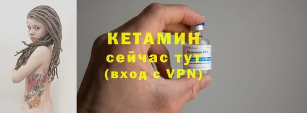 прущие грибы Наволоки