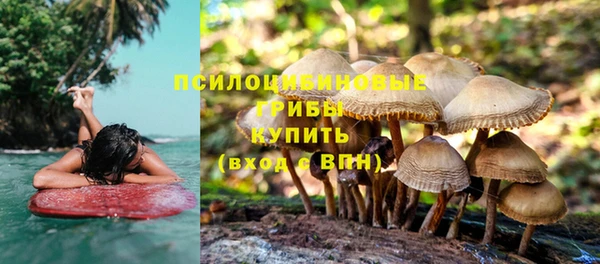 прущие грибы Наволоки