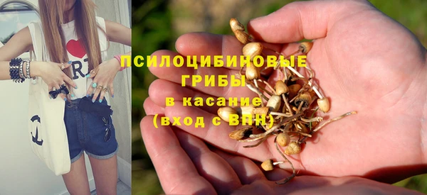 прущие грибы Наволоки